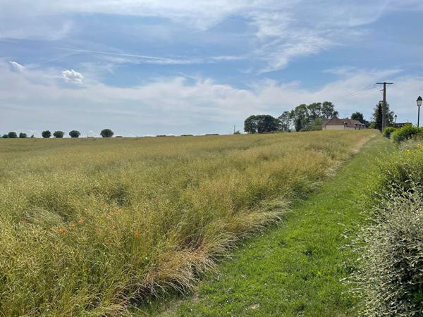 Terrain Chaumont En Vexin 1069 m2
