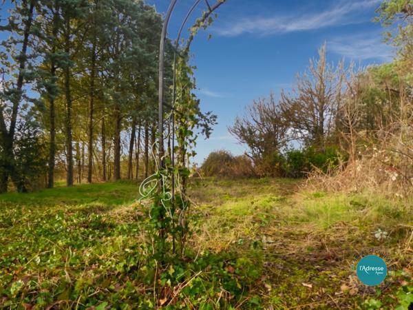 Maison individuelle sur sous-sol à rénover