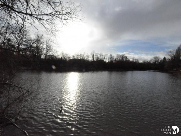 Terrain - Vendu - 11 247 m² - CHARTRES | The Door Man
