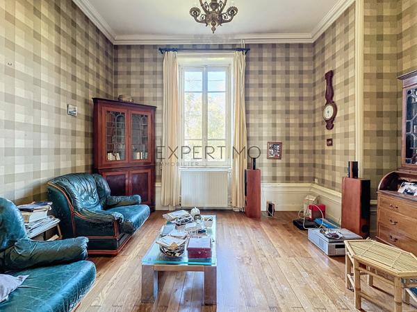 Tournus (71700) TOURNUS : Château + Maison et granges sur 1,6 hectare avec vue panoramique sur la Saône.