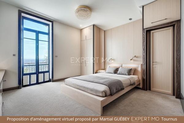 Tournus (71700) TOURNUS : Château + Maison et granges sur 1,6 hectare avec vue panoramique sur la Saône.