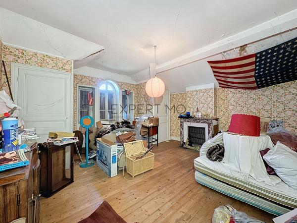 Tournus (71700) TOURNUS : Château + Maison et granges sur 1,6 hectare avec vue panoramique sur la Saône.