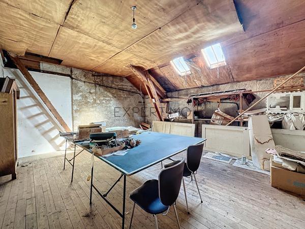 Tournus (71700) TOURNUS : Château + Maison et granges sur 1,6 hectare avec vue panoramique sur la Saône.