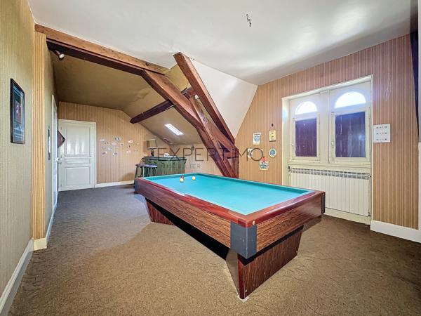 Tournus (71700) TOURNUS : Château + Maison et granges sur 1,6 hectare avec vue panoramique sur la Saône.