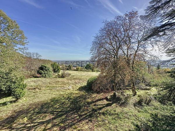 Tournus (71700) TOURNUS : Château + Maison et granges sur 1,6 hectare avec vue panoramique sur la Saône.