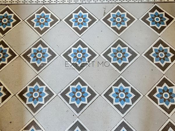 Tournus (71700) TOURNUS : Château + Maison et granges sur 1,6 hectare avec vue panoramique sur la Saône.