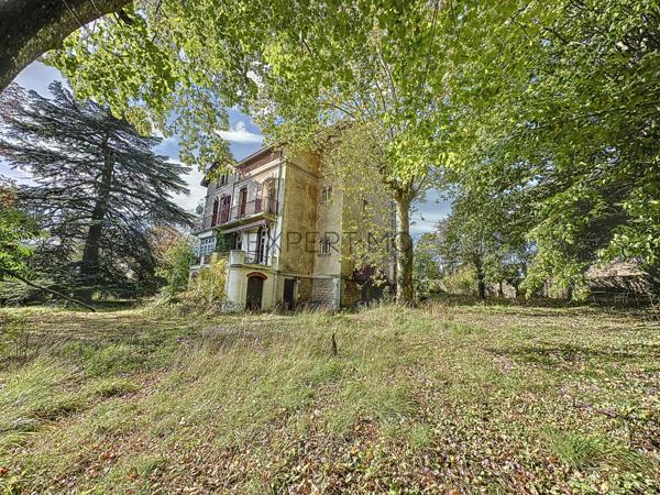 Tournus (71700) TOURNUS : Château + Maison et granges sur 1,6 hectare avec vue panoramique sur la Saône.