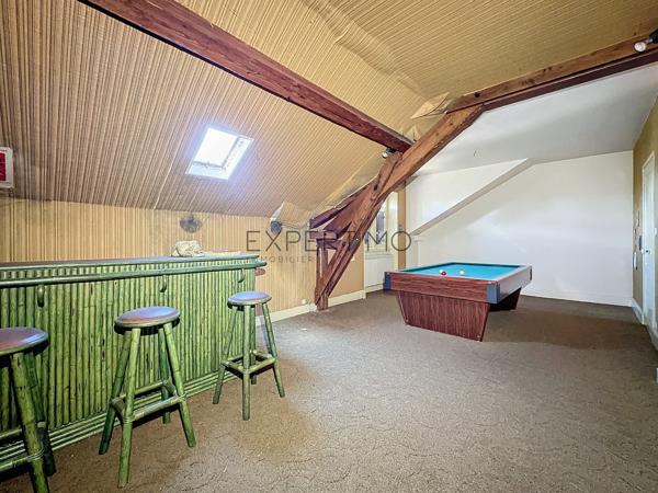 Tournus (71700) TOURNUS : Château + Maison et granges sur 1,6 hectare avec vue panoramique sur la Saône.