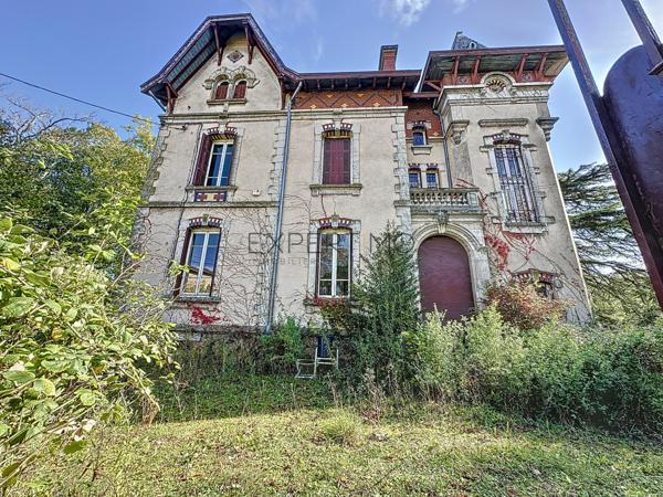 Tournus (71700) TOURNUS : Château + Maison et granges sur 1,6 hectare avec vue panoramique sur la Saône.