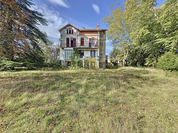 Tournus (71700) TOURNUS : Château + Maison et granges sur 1,6 hectare avec vue panoramique sur la Saône.
