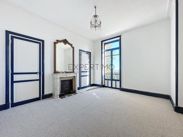 Tournus (71700) TOURNUS : Château + Maison et granges sur 1,6 hectare avec vue panoramique sur la Saône.