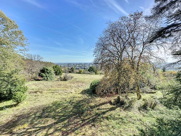 Tournus (71700) TOURNUS : Château + Maison et granges sur 1,6 hectare avec vue panoramique sur la Saône.