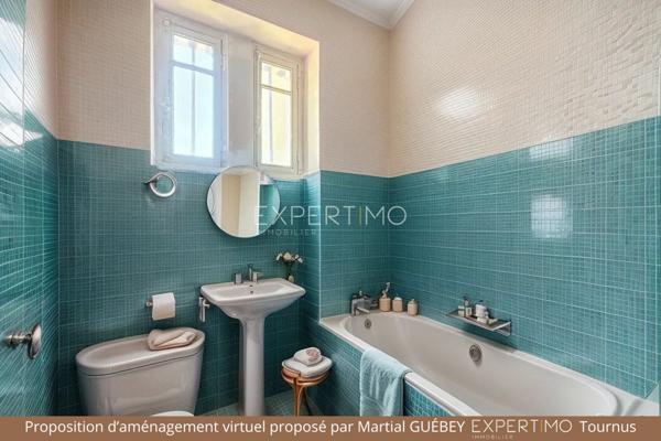 Tournus (71700) TOURNUS : Château + Maison et granges sur 1,6 hectare avec vue panoramique sur la Saône.