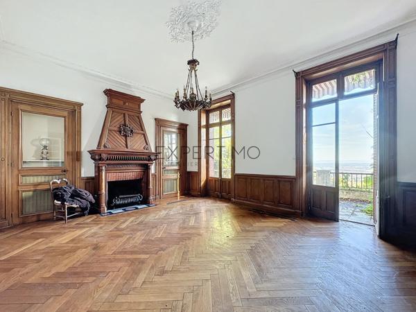 Tournus (71700) TOURNUS : Château + Maison et granges sur 1,6 hectare avec vue panoramique sur la Saône.