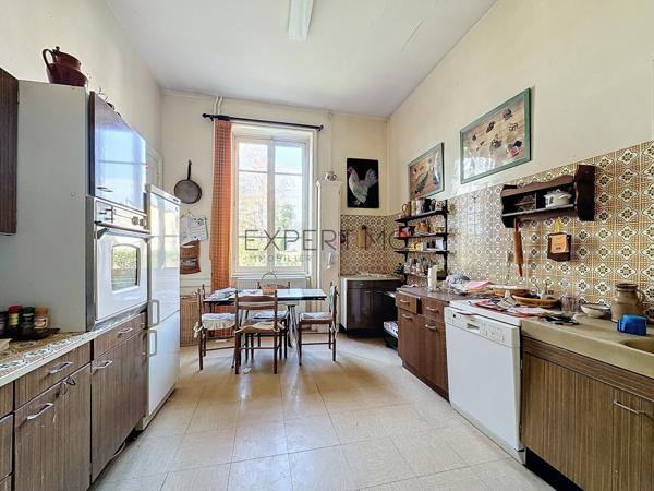 Tournus (71700) TOURNUS : Château + Maison et granges sur 1,6 hectare avec vue panoramique sur la Saône.