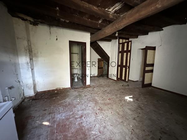 Tournus (71700) TOURNUS : Château + Maison et granges sur 1,6 hectare avec vue panoramique sur la Saône.