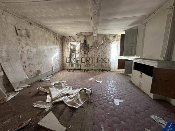 Tournus (71700) TOURNUS : Château + Maison et granges sur 1,6 hectare avec vue panoramique sur la Saône.