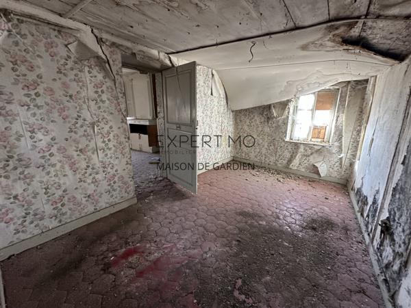 Tournus (71700) TOURNUS : Château + Maison et granges sur 1,6 hectare avec vue panoramique sur la Saône.