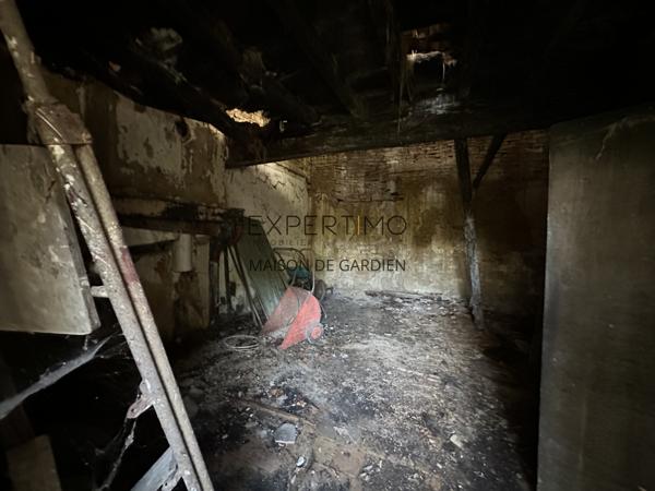 Tournus (71700) TOURNUS : Château + Maison et granges sur 1,6 hectare avec vue panoramique sur la Saône.