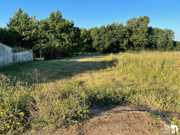 Terrain - Vendu - 5 046 m² - SAINTE-NEOMAYE | The Door Man