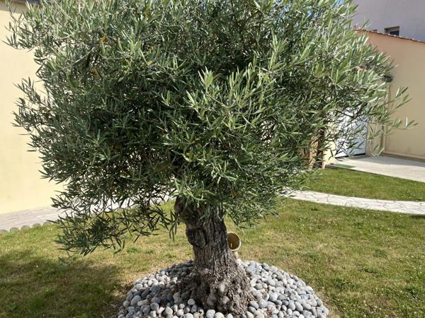 Maison, avec jardin à vendre 5 pièces TALMONT SAINT HILAIRE (85)