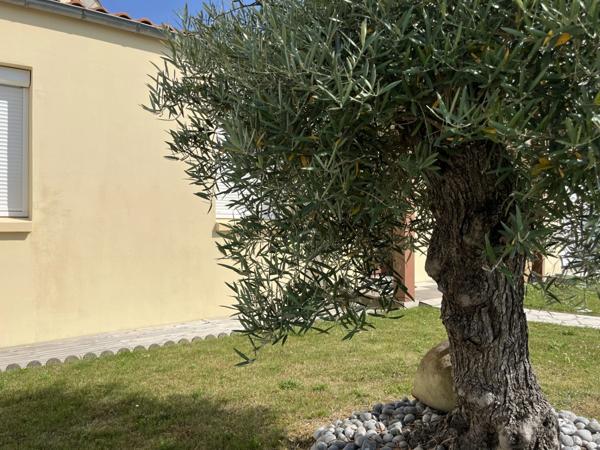 Maison, avec jardin à vendre 5 pièces TALMONT SAINT HILAIRE (85)