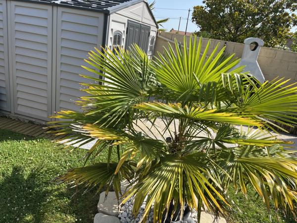 Maison, avec jardin à vendre 5 pièces TALMONT SAINT HILAIRE (85)
