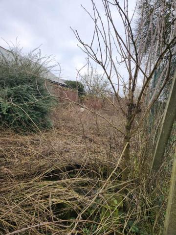 Maison Eppeville 4 pièce(s) 91 m2