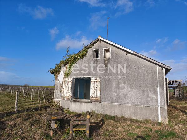 Maison à vendre à Nueil sur Layon - D5982