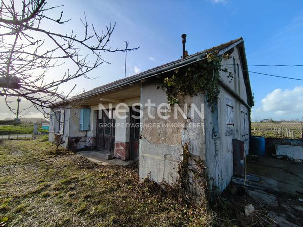 Maison à vendre à Nueil sur Layon - D5982