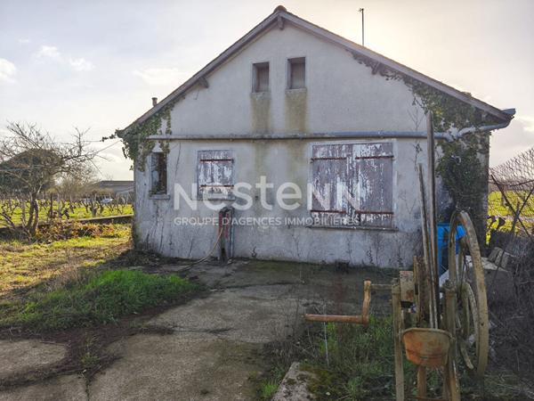 Maison à vendre à Nueil sur Layon - D5982