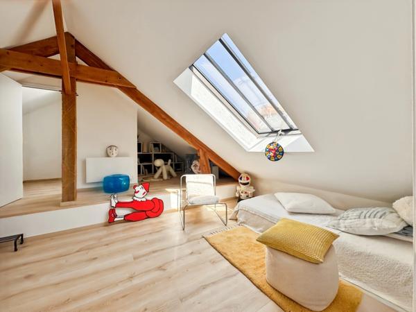 Vue carte postale sur la Maine : Maison atypique et appartement séparé de 300 m2 jouant sur les volumes, la lumière et les perspectives