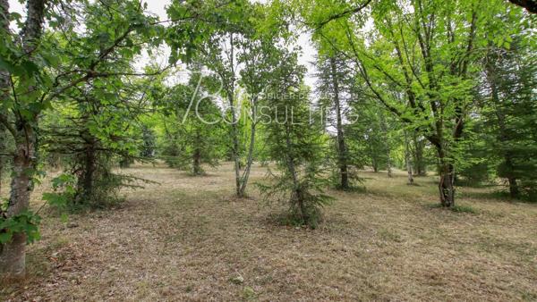 VENTE GERS PROPRIETE EQUESTRE-MAISON DE CARACTERE