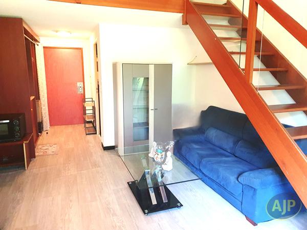 Location appartement Suce Sur Erdre : 384 € - AJP Immobilier Carquefou