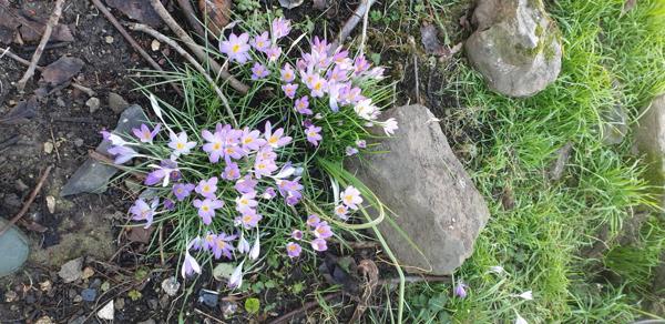 Maison de caractère - potentiels d'agraandissement