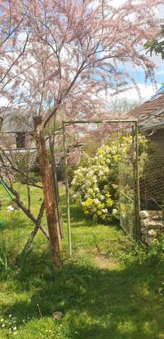 Maison de caractère - potentiels d'agraandissement