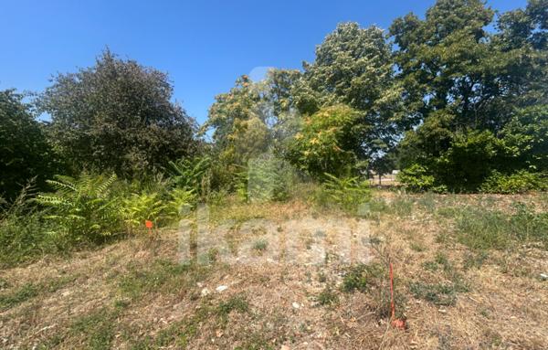 Terrain à Batir de 556 m²