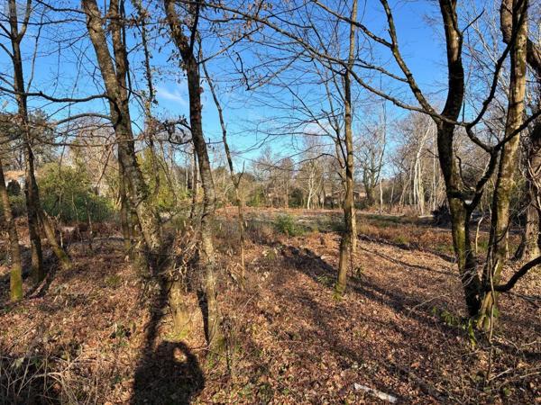 Achat - Terrain à bâtir | Terrain à bâtir Blanquefort 33290 5238 m 2 5238 m 2