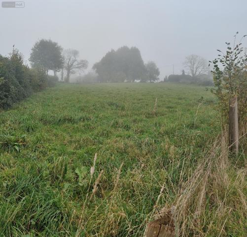 Terrain à Batir à vendre à Folligny dans la Manche (50320), ref : TAB-FO-1