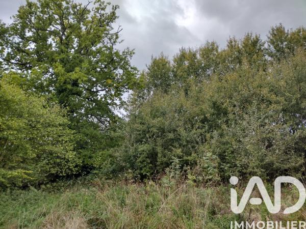 Terrain à vendre 3 635 m² Fatouville-Grestain