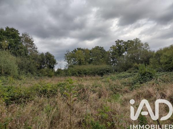 Terrain à vendre 3 635 m² Fatouville-Grestain
