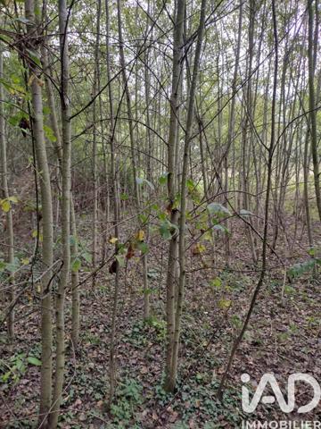Terrain à vendre 3 635 m² Fatouville-Grestain