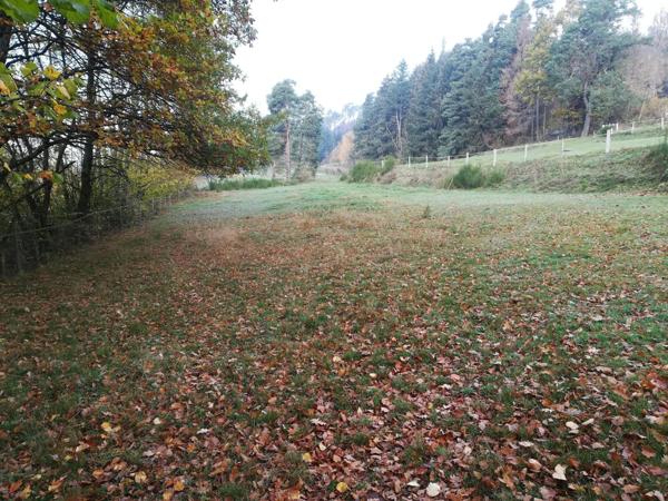 Terrain à DOMFAING, 88600 - 1750m²