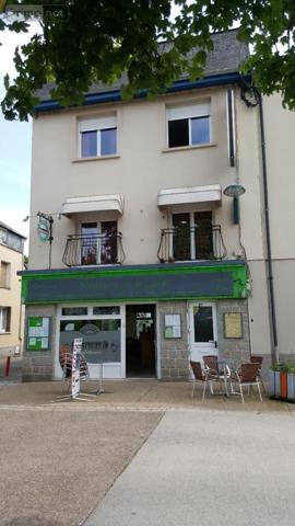 Local mixte (Professionnel/Habitation) à vendre à Villaines-la-Juhel en Mayenne (53700), ref : 2585