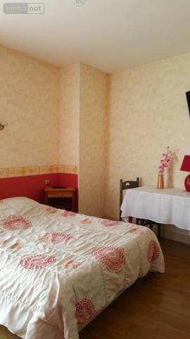 Local mixte (Professionnel/Habitation) à vendre à Villaines-la-Juhel en Mayenne (53700), ref : 2585