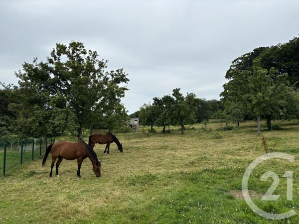 Maison à vendre  5 pièces - 187 m2 CHANU - 61