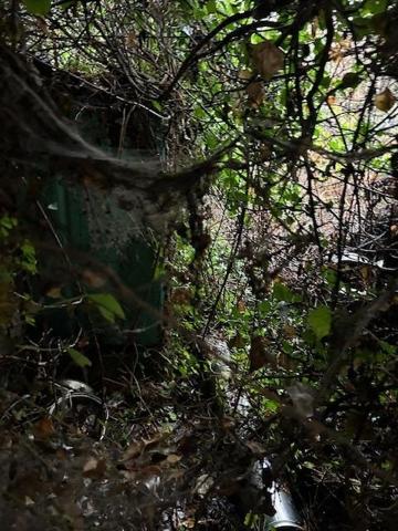 Vente / Maison mitoyenne