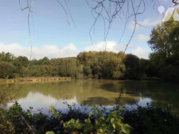10 min. VILLAINES-LA-JUHEL (53), en campagne, maison d'habitation en ossature bois, couverte en...