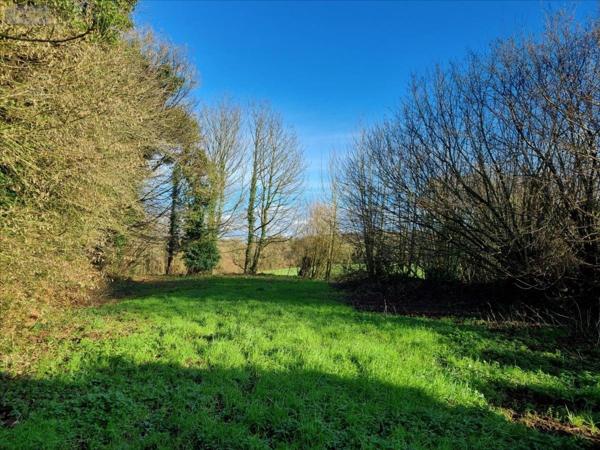 Maison à vendre à Callac dans les Côtes-d'Armor (22160), ref : 29066-1060166