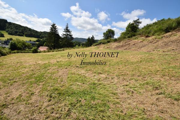 Saint-Diéry (63320) Dépt.63, SAINT-DIERY, TERRAIN à bâtir de 2881 m2